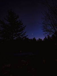 Silhouette trees in forest against sky at night