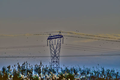 Low angle view of birds flying against sky during sunset