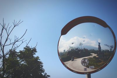 Low angle view of trees against clear sky