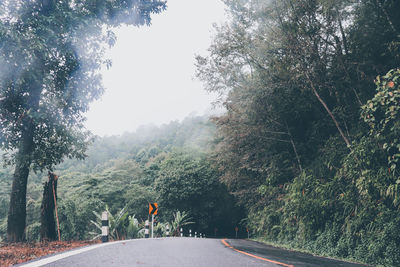 Road amidst trees against sky