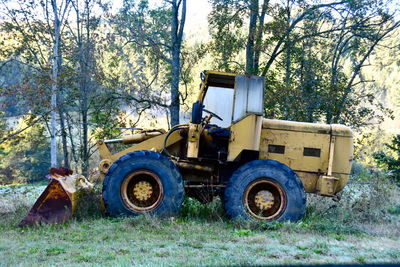 Vintage car against trees