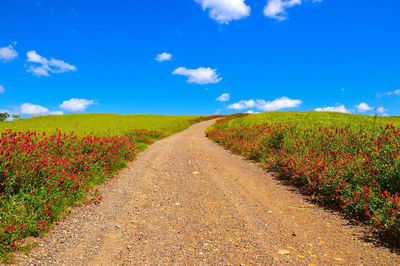 Scenic view of field against cloudy sky