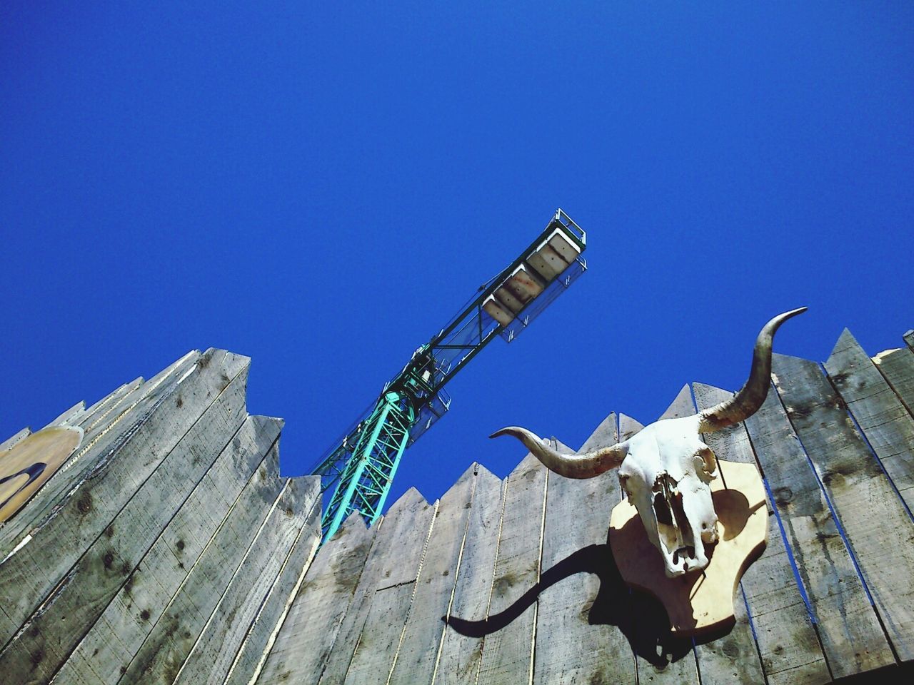 blue, clear sky, low angle view, built structure, copy space, architecture, building exterior, sunlight, outdoors, day, sky, metal, wood - material, one person, bird, roof, full length, animal themes, construction site