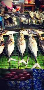 Close-up of fish for sale