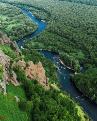 High angle view of river amidst trees in forest