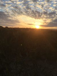 Scenic view of field against sky during sunset