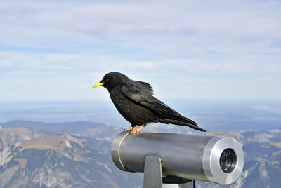 Side view of crow perching on binocular against sky at observation point