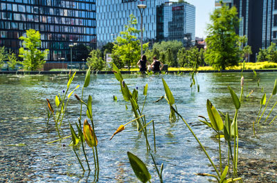 Scenic view of lake by buildings in city