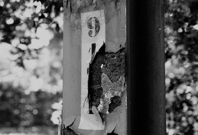 Close-up of rusty sign on tree trunk