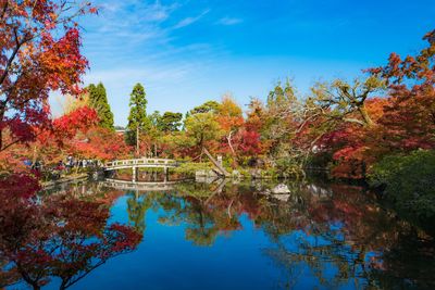 Scenic view of lake by trees against blue sky