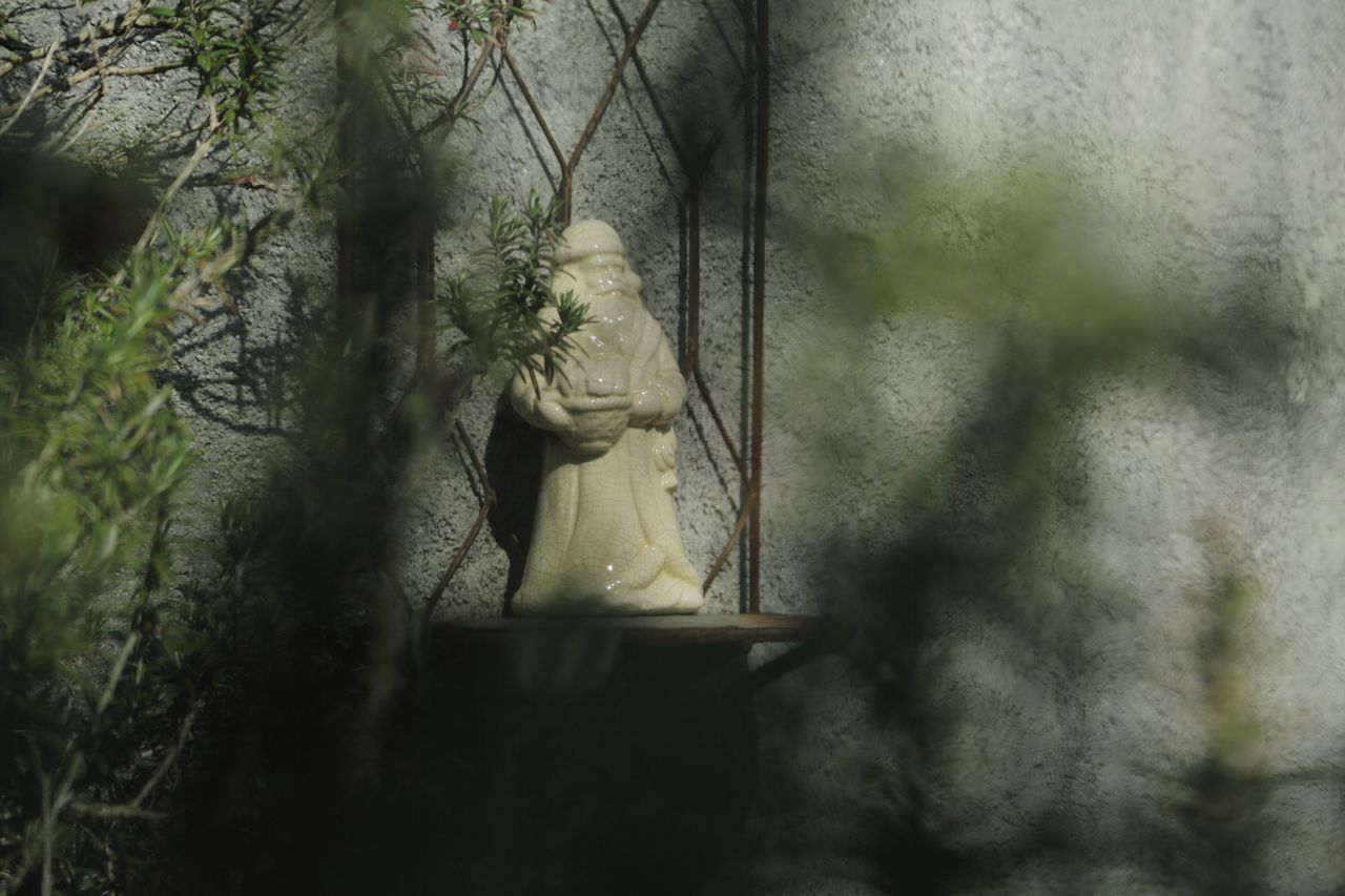 CLOSE-UP OF MONKEY AGAINST TREES