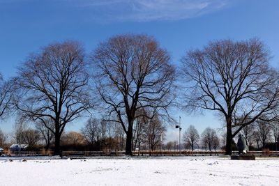 Bare trees on landscape against blue sky