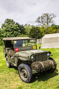 Vintage car on field against trees