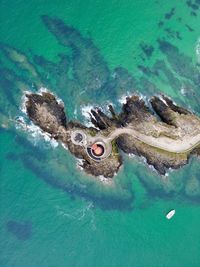 High angle view of man swimming in sea