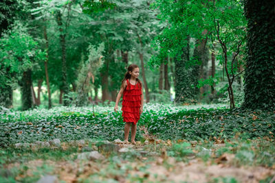 Full length of girl standing in forest