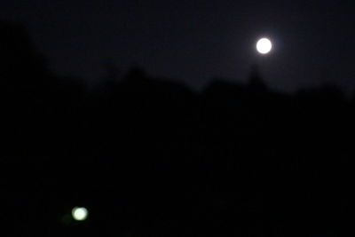 Low angle view of silhouette moon against sky at night