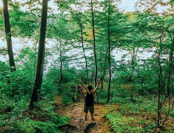 Man standing by trees in forest