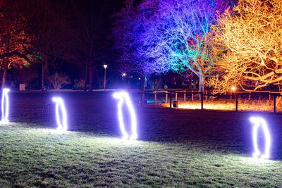 View of illuminated trees at park