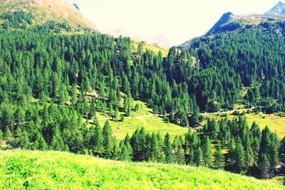 Scenic view of mountains