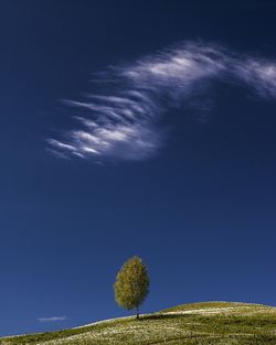 Scenic view of landscape against blue sky