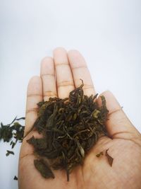 Close-up of hand holding food against white background