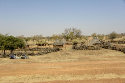Trees and houses on field against clear sky