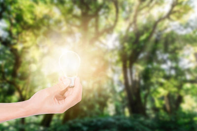 Person holding flower