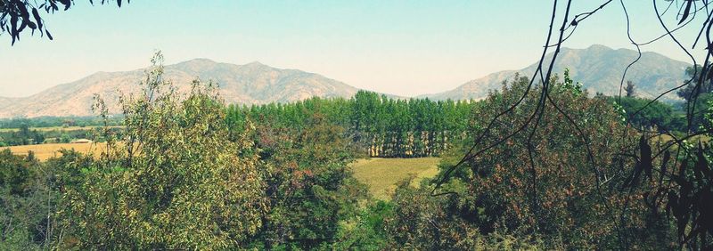 mountain