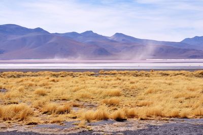 Scenic view of lake and mountains against sky