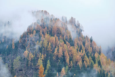 Panoramic view of trees and lake against sky during autumn