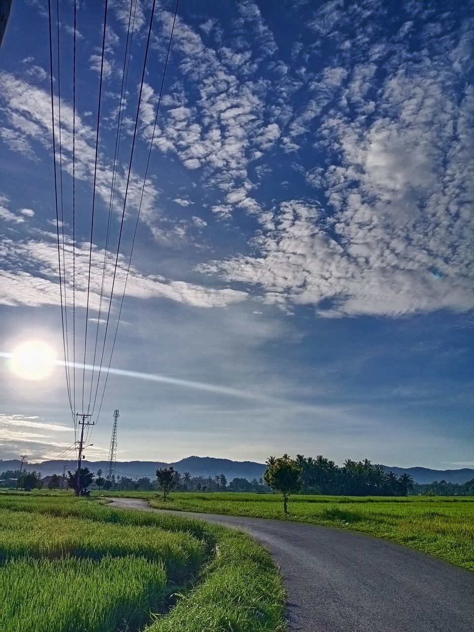 sky, horizon, environment, landscape, cloud, nature, plant, road, land, electricity, grass, beauty in nature, rural scene, field, scenics - nature, cable, agriculture, sunlight, technology, transportation, no people, electricity pylon, power line, blue, power generation, rural area, tranquility, power supply, outdoors, crop, morning, tree, environmental conservation, tranquil scene, growth, green, farm, plain, reflection, dusk, sun, day, non-urban scene