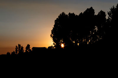 Low angle view of silhouette trees against orange sky