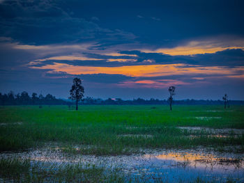 Scenic view of field against sky during sunset