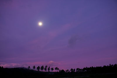 Silhouette trees on field against sky at night