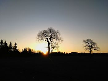 Silhouette bare trees on field against sky at sunset