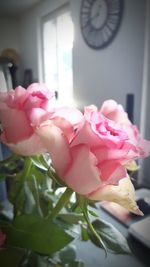 Close-up of pink rose flower vase on table