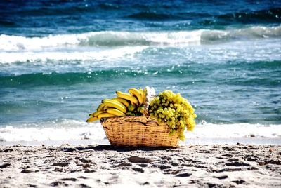 Close-up of yellow flowers on sand at beach