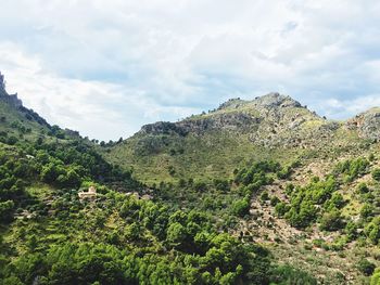 View of trees on landscape against mountain range