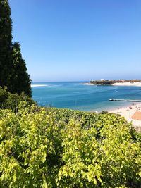 Scenic view of sea against clear blue sky