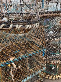 View of birds in cage