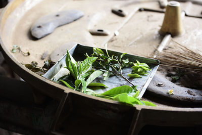 Fresh tea leafs in tea factory at kolukkumalai tamil nadu india