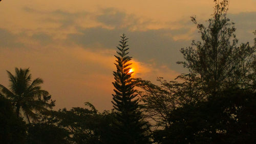 Silhouette trees against sky during sunset