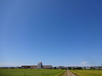 Scenic view of field against clear blue sky