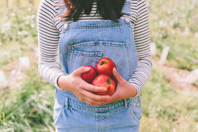 Midsection of woman holding apples