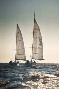 Sailboat sailing on sea