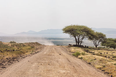 Road amidst trees against clear sky