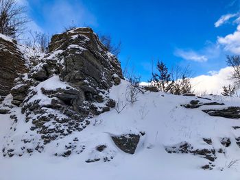 Snow covered plants on field against sky