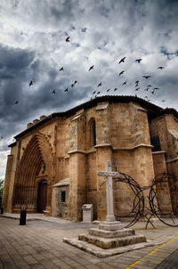 Birds flying over old building