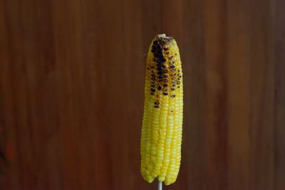 Close-up of roasted corn against wall