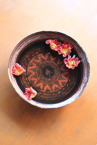 High angle view of potted plant on table